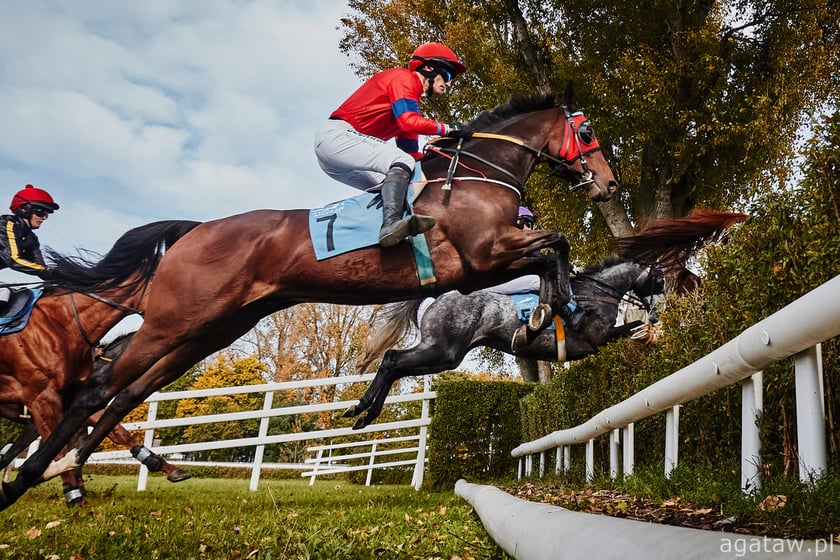 Wyścigi konne na Partynicach, zdjęcie archiwalne