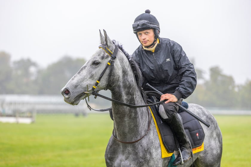 Paweł Pałczyński i Jadmir przygotowujący się do Crystal Cup