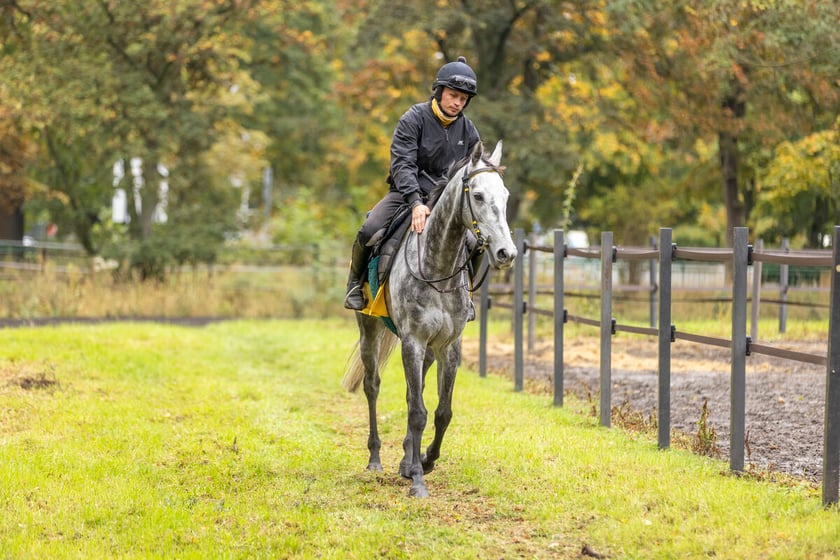 Paweł Pałczyński i Jadmir przygotowujący się do Crystal Cup