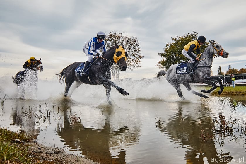 Wyścigi konne na Partynicach, przeszkoda wodna. Zdjęcie archiwalne