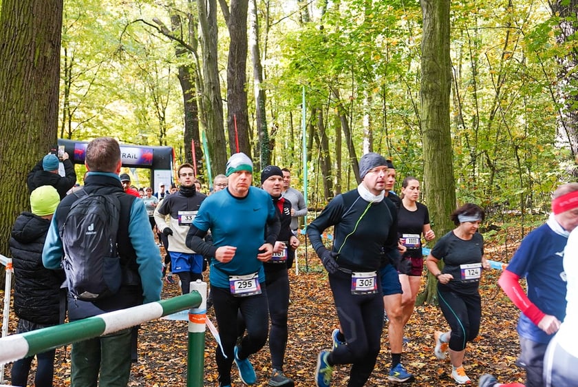 Bieg z cyklu City Trail w Lesie Osobowickim we Wrocławiu