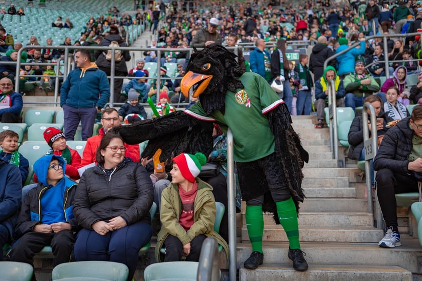 Śląsk Wrocław - Stal Mielec. Zdjęcia kibiców (19.10.2025)