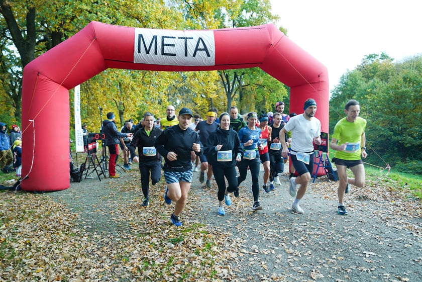 Bieg Wielkiej Wyspy. Wrocław, 25.10.2025