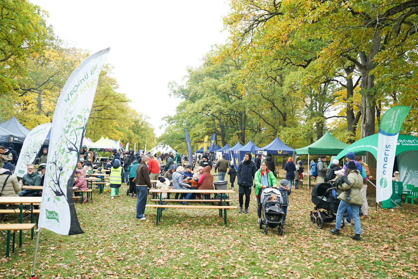 Bieg Wielkiej Wyspy. Wrocław, 25.10.2025