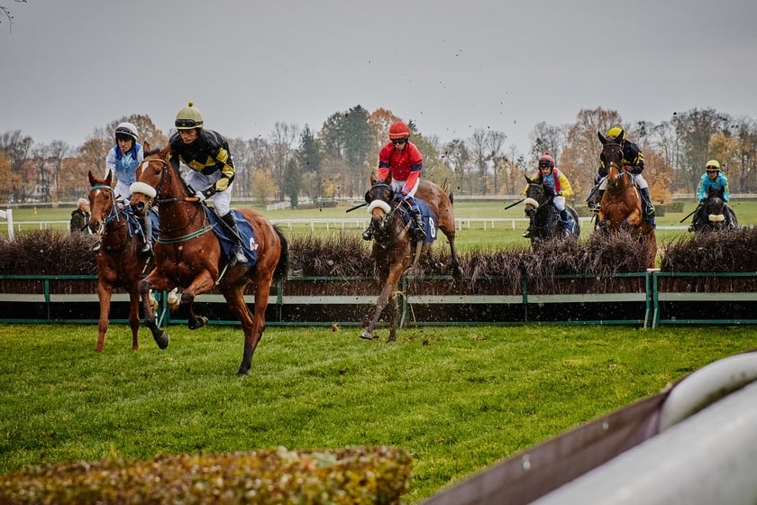 Ostatni dzień wyścigowy na Partynicach