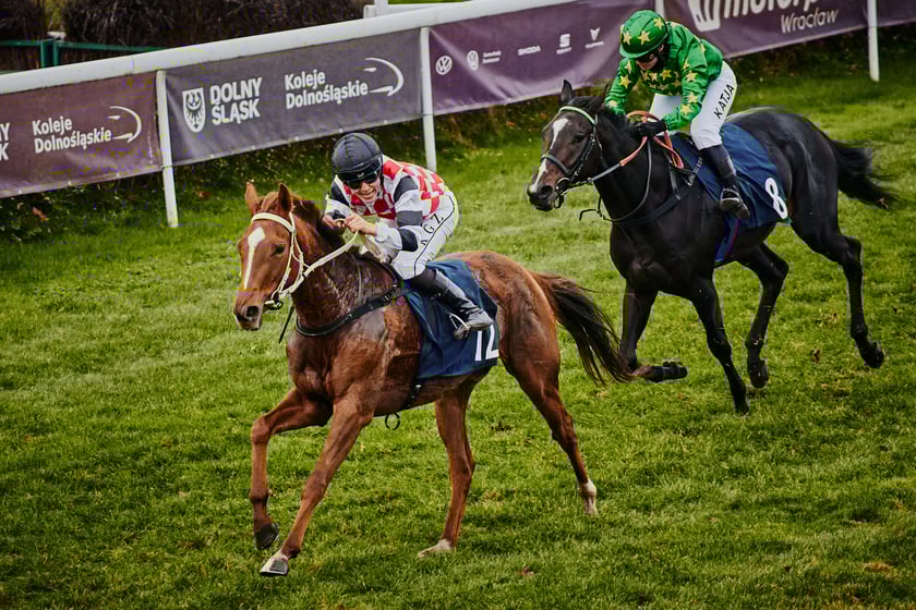 Ostatni dzień wyścigowy na Partynicach