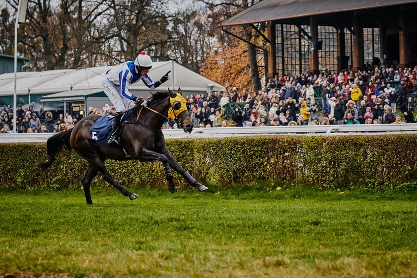 Ostatni dzień wyścigowy na Partynicach