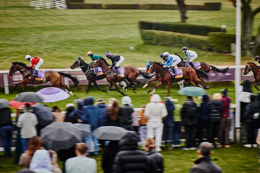 Ostatni dzień wyścigowy na Partynicach