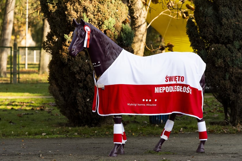 Ostatni dzień wyścigowy 11 listopada na wrocławskich Partynicach