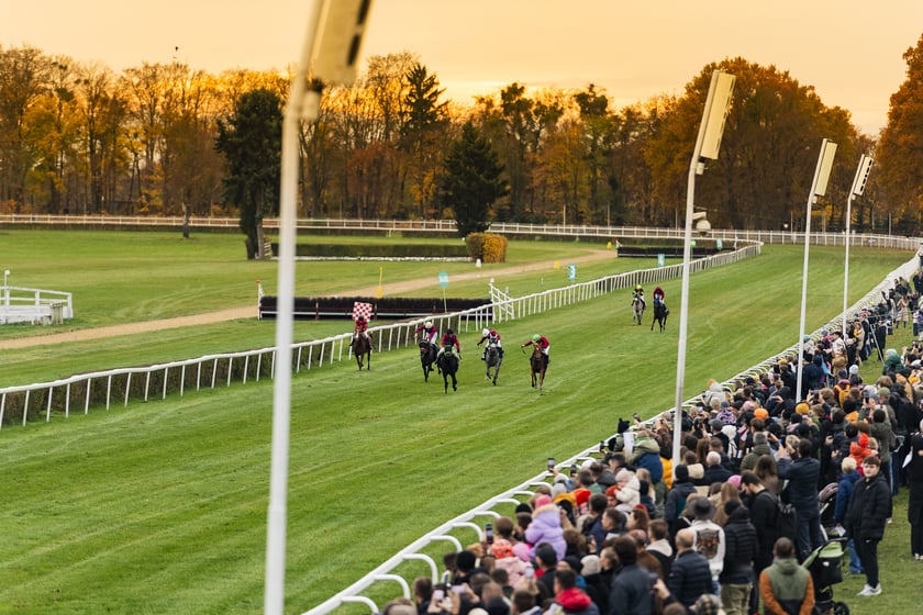 Ostatni dzień wyścigowy 11 listopada na wrocławskich Partynicach