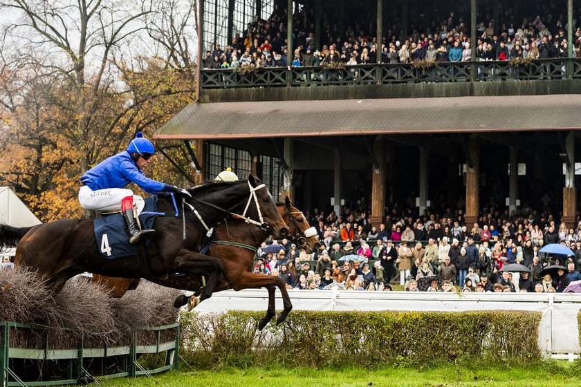 Ostatni dzień wyścigowy 11 listopada na wrocławskich Partynicach