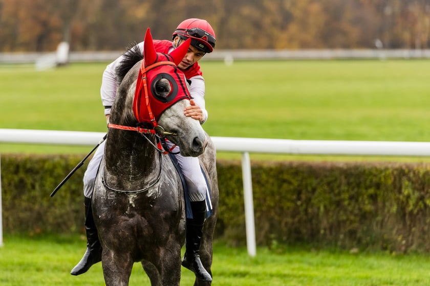 Ostatni dzień wyścigowy 11 listopada na wrocławskich Partynicach