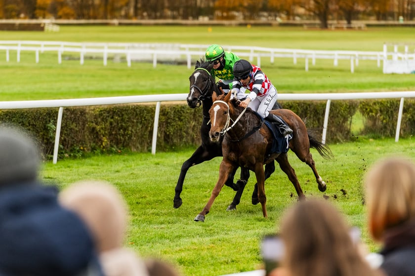 Ostatni dzień wyścigowy 11 listopada na wrocławskich Partynicach