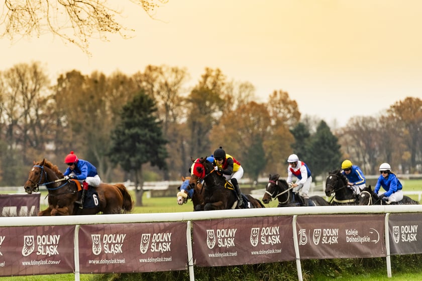Ostatni dzień wyścigowy 11 listopada na wrocławskich Partynicach