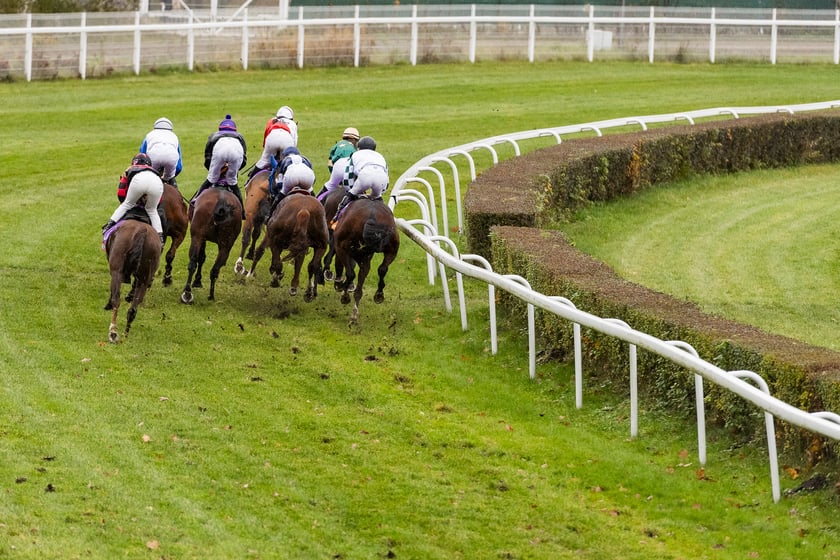 Ostatni dzień wyścigowy 11 listopada na wrocławskich Partynicach