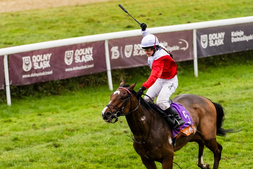 Ostatni dzień wyścigowy 11 listopada na wrocławskich Partynicach