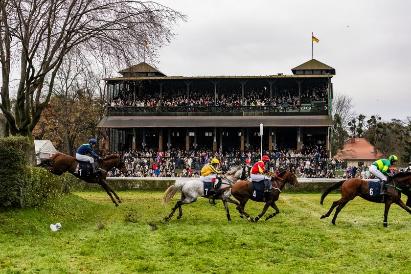 Ostatni dzień wyścigowy 11 listopada na wrocławskich Partynicach