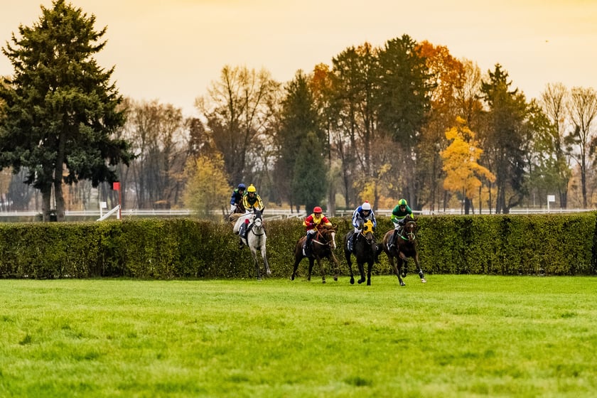 Ostatni dzień wyścigowy 11 listopada na wrocławskich Partynicach