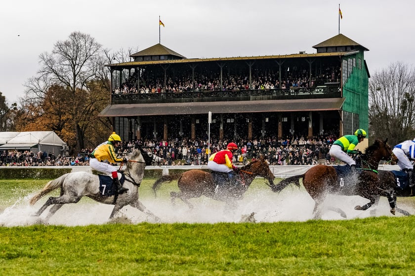 Ostatni dzień wyścigowy 11 listopada na wrocławskich Partynicach