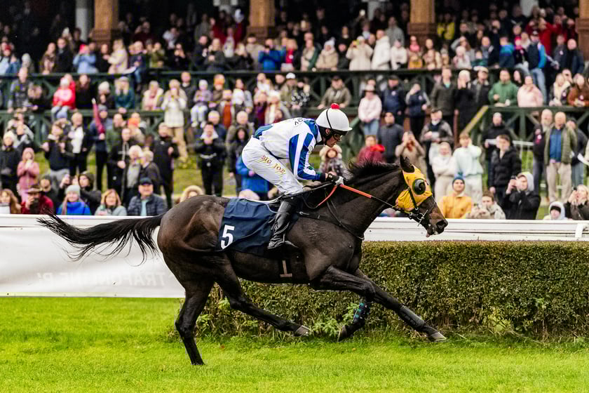 Ostatni dzień wyścigowy 11 listopada na wrocławskich Partynicach