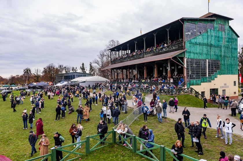 Ostatni dzień wyścigowy 11 listopada na wrocławskich Partynicach