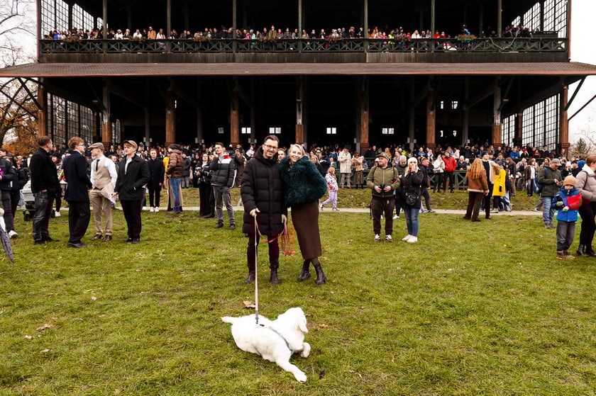 Ostatni dzień wyścigowy 11 listopada na wrocławskich Partynicach
