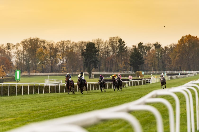 Ostatni dzień wyścigowy 11 listopada na wrocławskich Partynicach