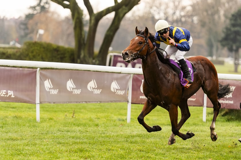 Ostatni dzień wyścigowy 11 listopada na wrocławskich Partynicach