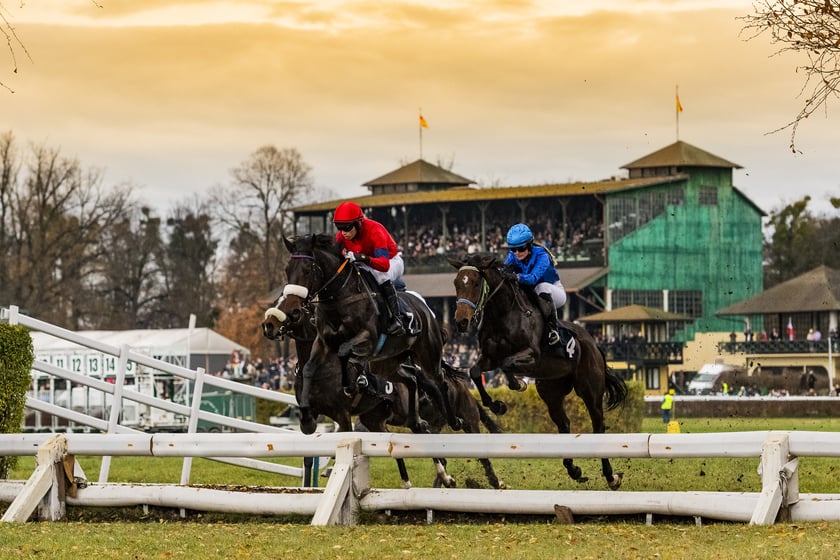 Ostatni dzień wyścigowy 11 listopada na wrocławskich Partynicach