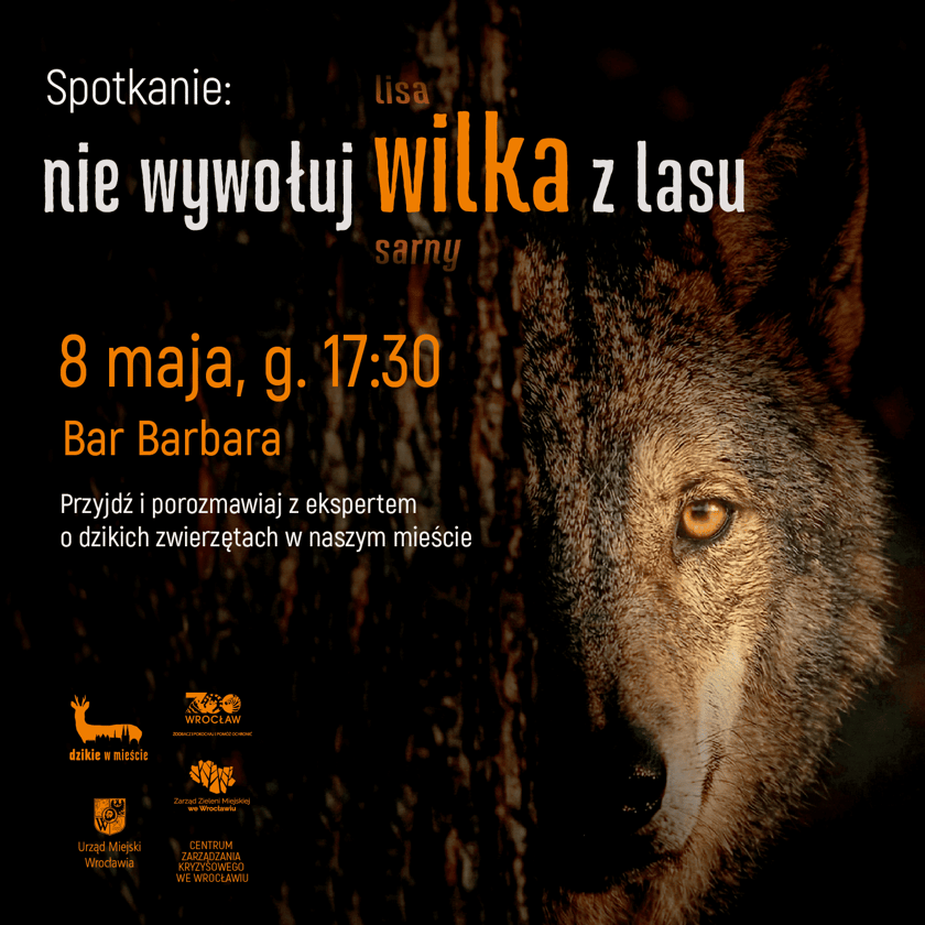<p>Spotkanie "nie wywołuj wilka z lasu" 8 maja g. 17:30, Bar Barbara - infografika.</p>