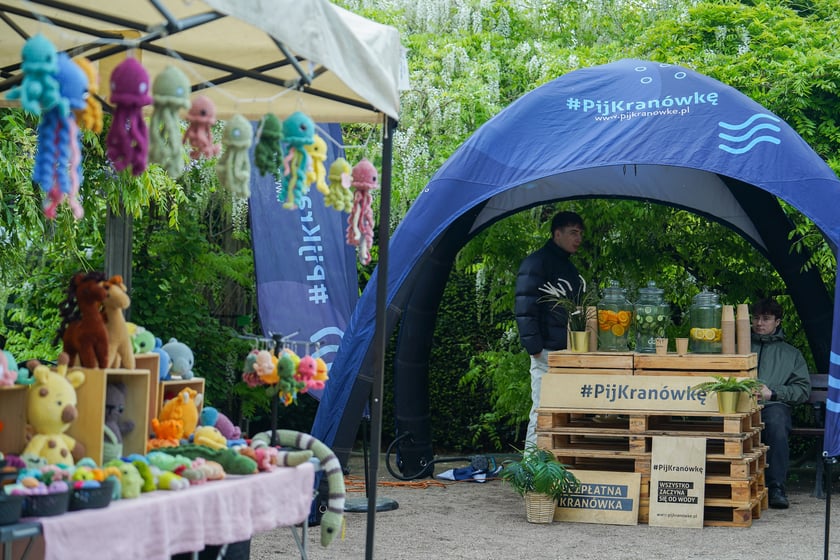Powiększ obraz: Festiwal Tulipanów w Ogrodzie Botanicznym Uniwersytetu Wrocławskiego, 9 maja 2026 r.