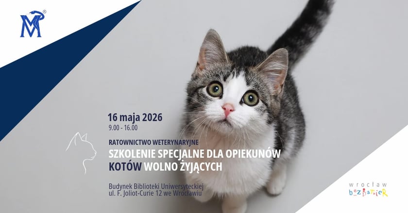 Koty wolno żyjące - szkolenie dla opiekunów