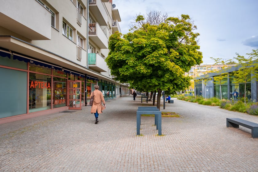 Rośliny i drzewa na Placu Nowy Targ - 12 maja 2026 r.
