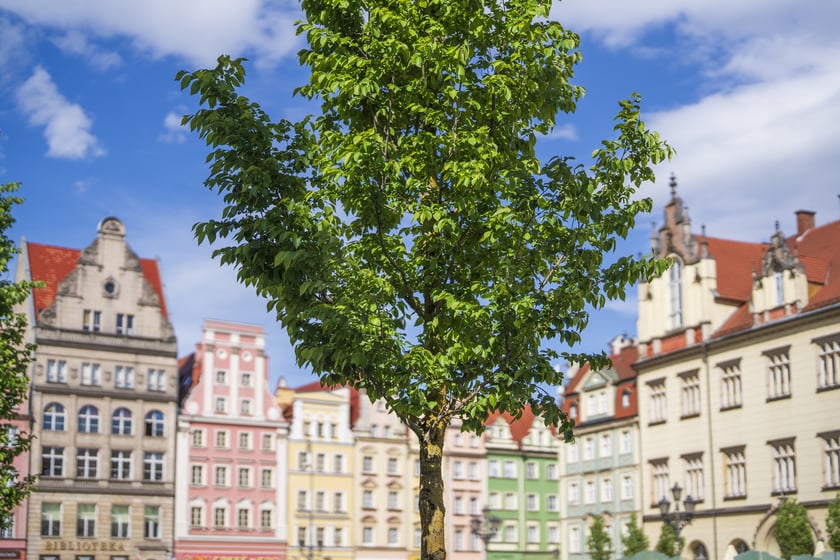 I etap zazielenienia Rynku - maj 2026 r.