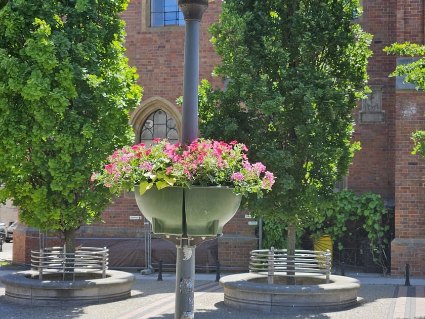 Kolorowe kwiaty w donicach zamocowanych na latarniach na Starym Mieście we Wrocławiu.