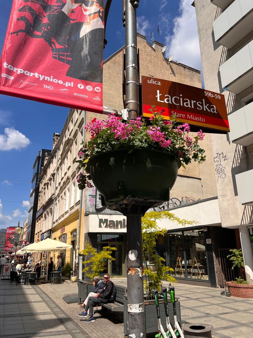 Kolorowe kwiaty w donicach zamocowanych na latarniach na Starym Mieście we Wrocławiu.