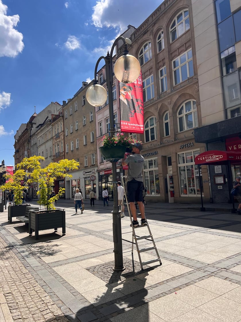 Kolorowe kwiaty w donicach zamocowanych na latarniach na Starym Mieście we Wrocławiu.