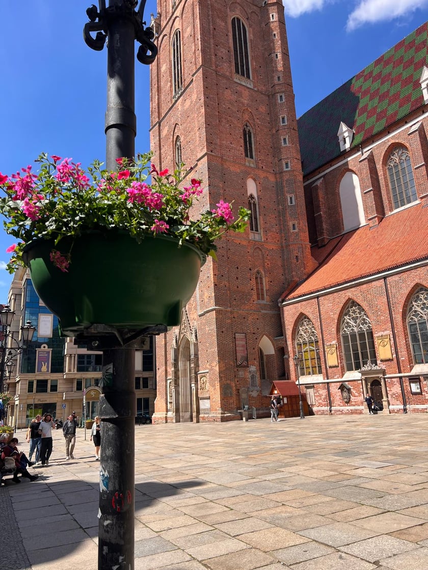 Kolorowe kwiaty w donicach zamocowanych na latarniach na Starym Mieście we Wrocławiu.