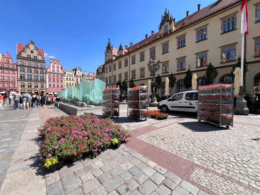 Kolorowe kwiaty w donicach zamocowanych na latarniach na Starym Mieście we Wrocławiu.