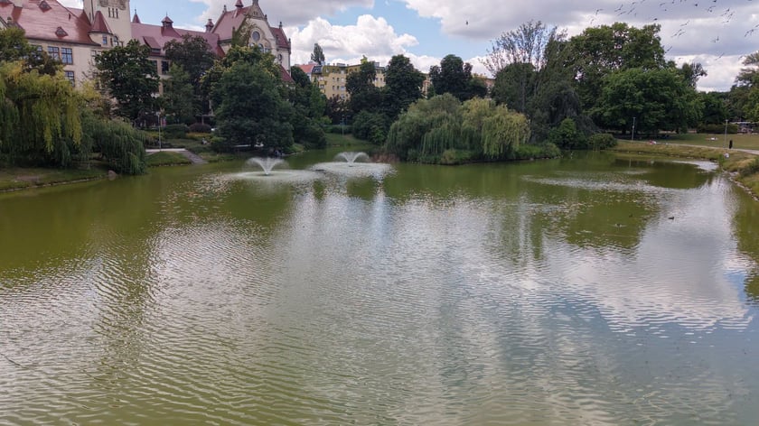 Staw z fontannami w Parku Tołpy.