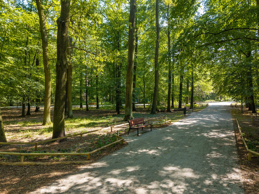 Remont Alei Romera w Parku Grabiszyńskim.