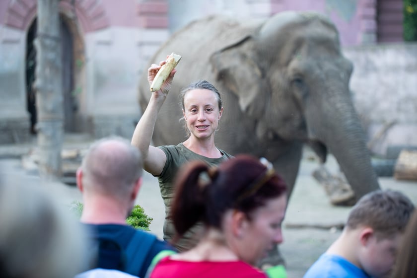 Anna Konieczko, opiekunka z sekcji zwierząt kopytnych wrocławskiego zoo