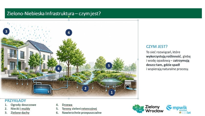 Infografika: Zielono-Niebieska Infrastruktura – czym jest? Przekrojowa ilustracja domu i jego otoczenia z ponumerowanymi przykładami rozwiązań zatrzymujących deszczówkę.