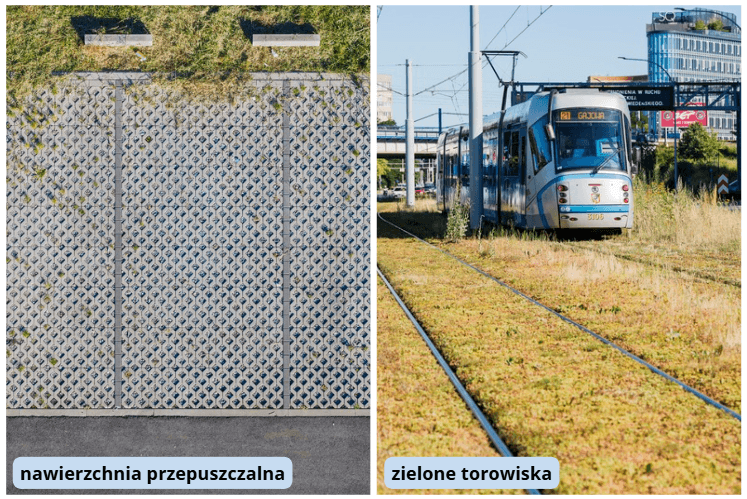 Kolaż dwóch zdjęć z podpisami: ażurowa nawierzchnia betonowa z otworami porośniętymi trawą, podpisana „nawierzchnia przepuszczalna", oraz tramwaj jadący torowiskiem porośniętym rozchodnikiem w odcieniach zieleni i czerwieni na tle zabudowy miejskiej, podpisane „zielone torowiska".