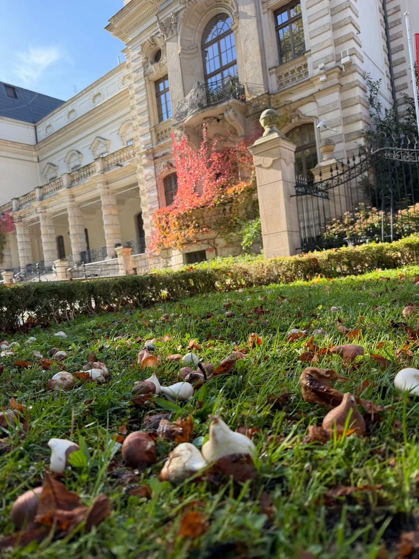 Przygotowania do wiosny - sadzenie cebulek kwiatów