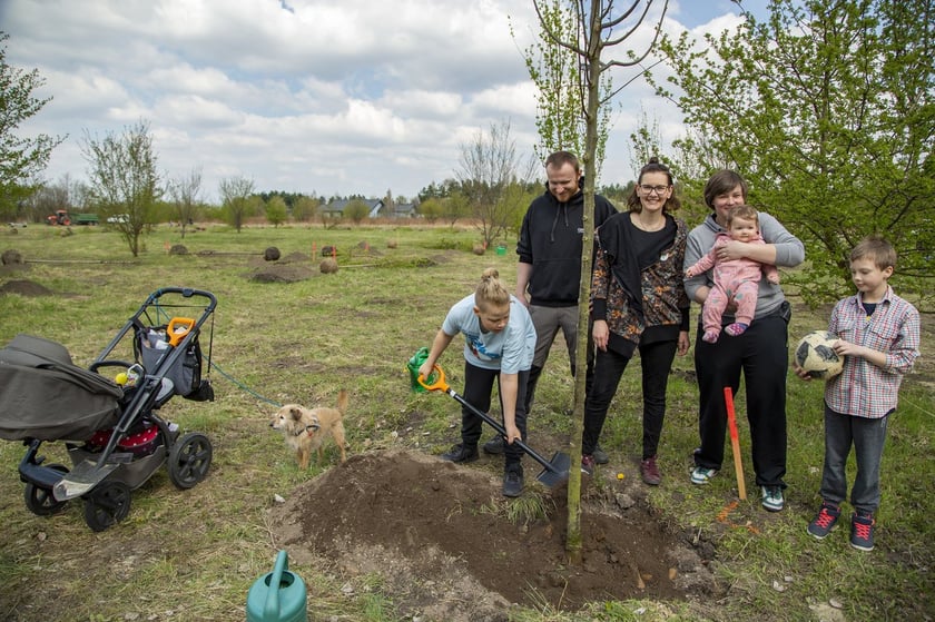 WROśnij we WROcław na Brochowie