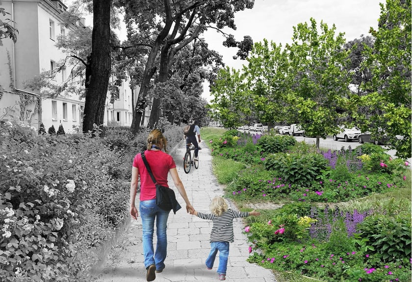 Zielone Nadodrze - plac Staszica, wizualizacja