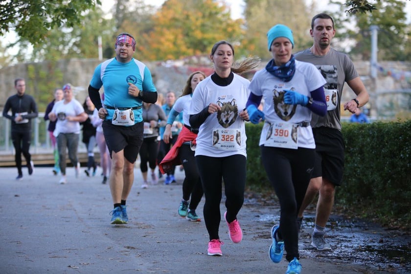 Wild Run - dziki bieg dla zwierząt