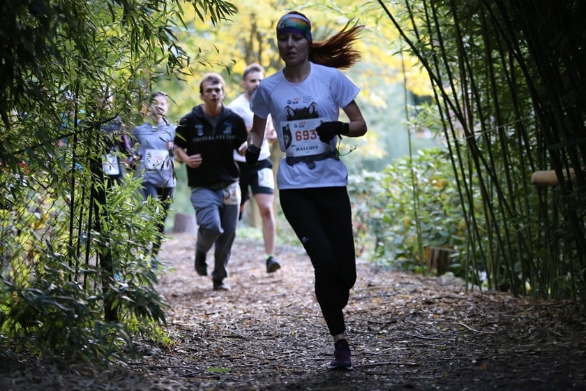 Wild Run - dziki bieg dla zwierząt