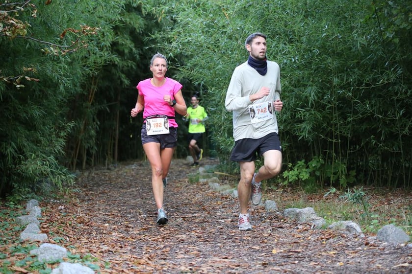Wild Run - dziki bieg dla zwierząt